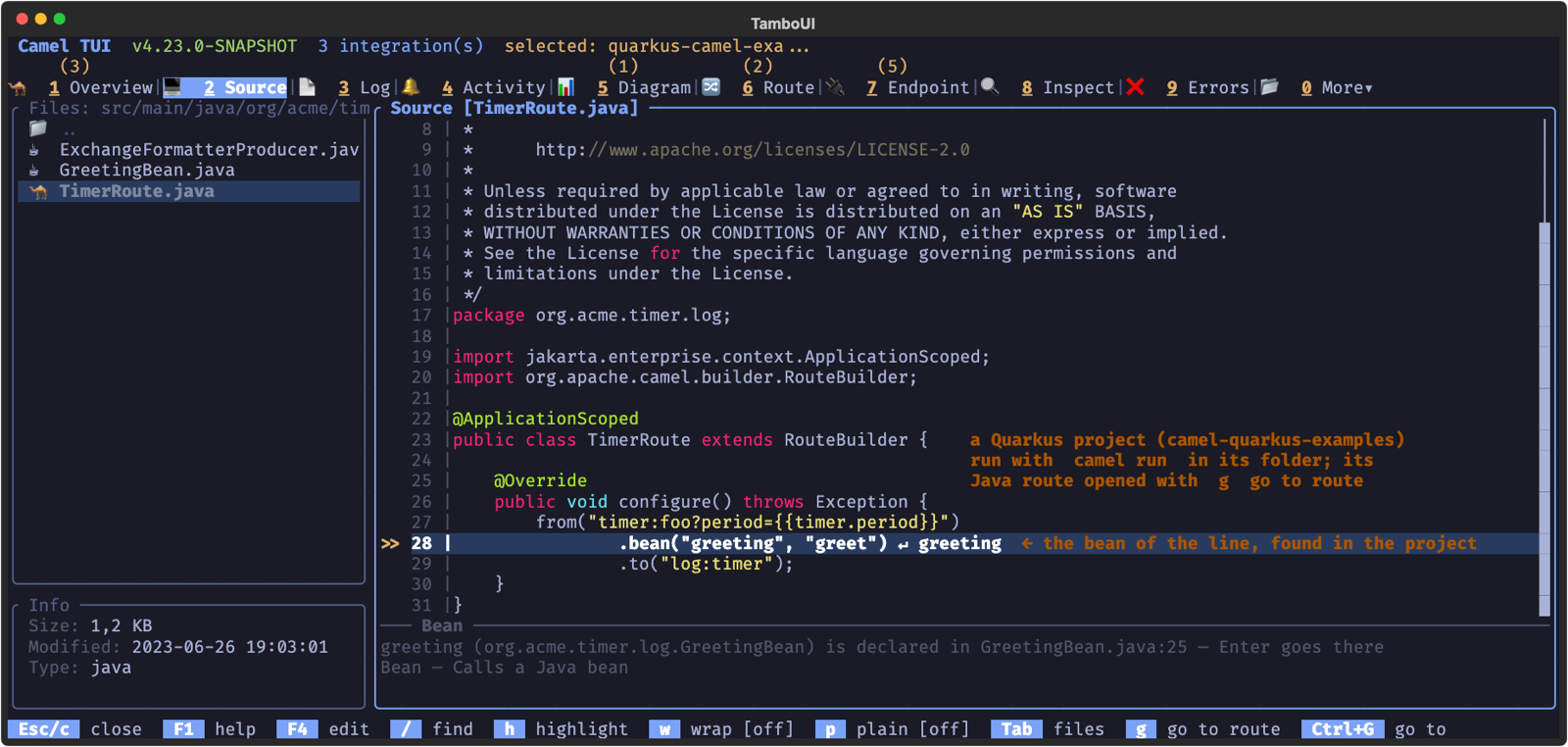A Quarkus project in the Source tab: its Java route and the bean of the line